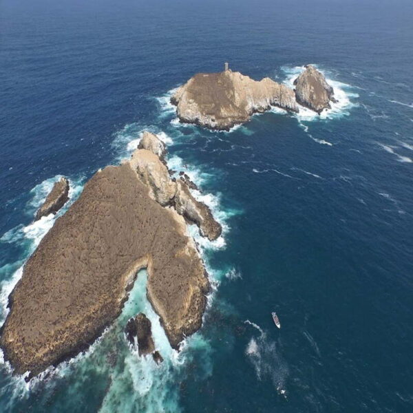 Isla Palomino: Nadando con lobos marinos - Image 2