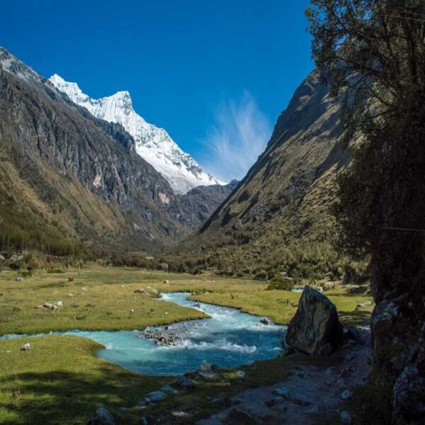 Huaraz: Full Day Laguna 69 + Laguna Llanganuco - Image 2