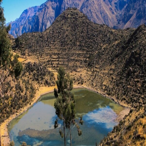 Arequipa: Cañon del Colca + Baños Termales - Image 5