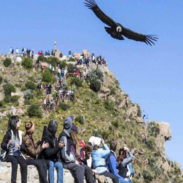 Arequipa: Trekking Valle de Colca 2Dias - Image 4