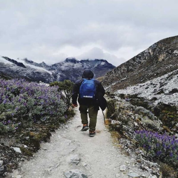 Huaraz: Full Day Laguna 69 + Laguna Llanganuco - Image 4