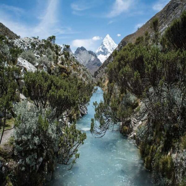 Huaraz: Full Day Laguna 69 + Laguna Llanganuco - Image 5