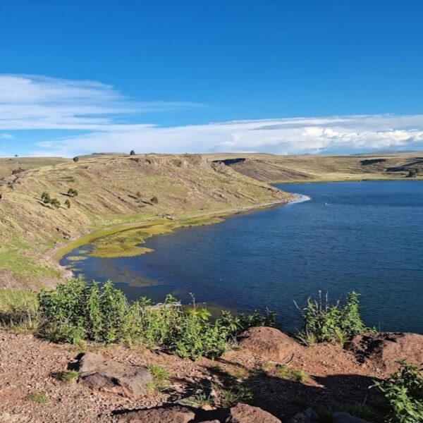 Puno: Medio Día Chullpas de Sillustani + Guía Bilingue - Image 3