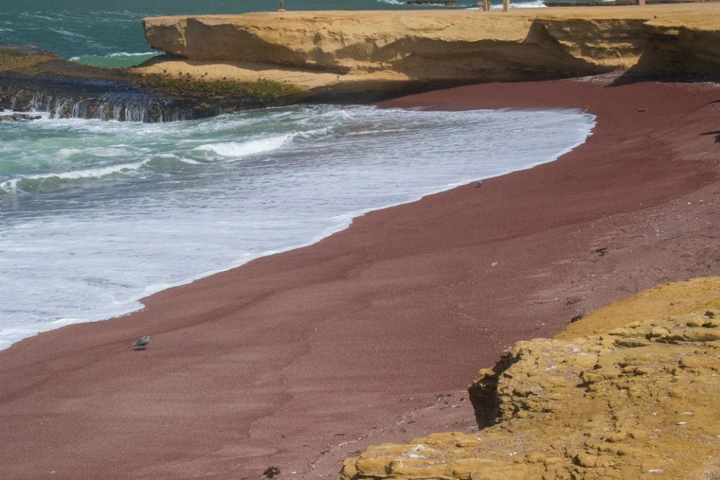 La Playa Roja en Paracas, costa peruana con arena rojiza y paisajes únicos en el Pacífico