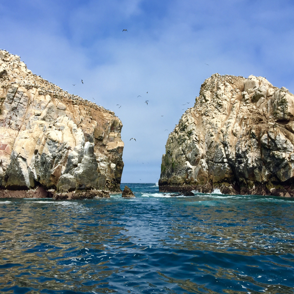Paisaje marino de las Islas Palomino que muestra dos grandes acantilados rocosos de color claro separados por un canal de agua azul intensa. Decenas de aves marinas vuelan entre las rocas y se posan en las cimas bajo un cielo parcialmente nublado