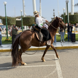Amazona peruana vestida de chalán montando un caballo peruano de paso durante una exhibición tradicional de marinera