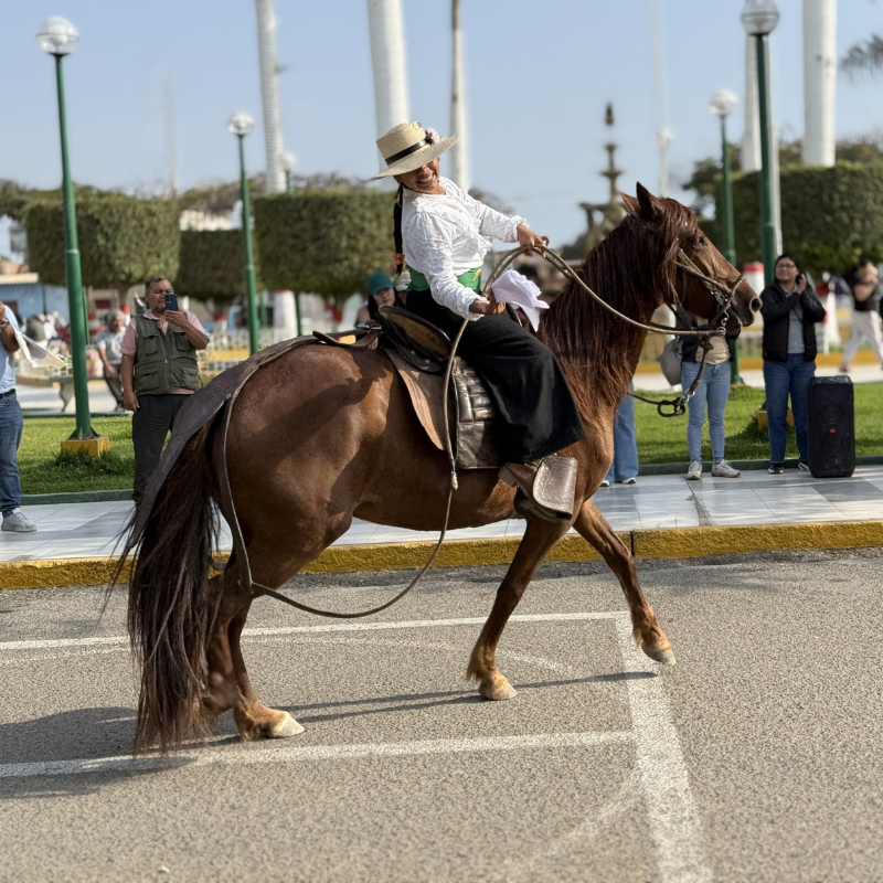 Amazona peruana vestida de chalán montando un caballo peruano de paso durante una exhibición tradicional de marinera