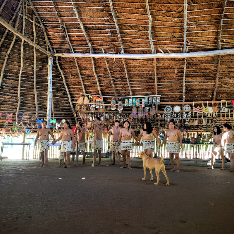 Miembros de una comunidad indígena amazónica tomados de las manos en el centro de una gran maloca con techo de palma. Al fondo se exhiben diversas artesanías locales colgantes, como collares, bolsos y adornos, mientras un perro camina en primer plano sobre el suelo de tierra.