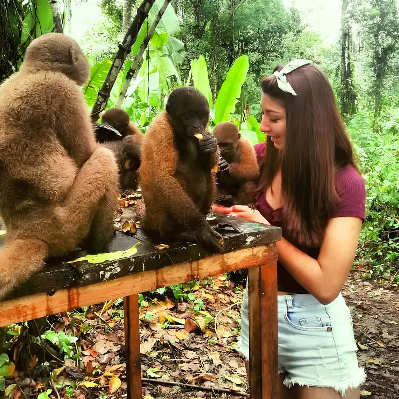Una joven turista con short de jean observa con ternura a varios monos churucos o choros alimentándose sobre una mesa de madera. Uno de los pequeños monos come un trozo de fruta mientras los demás descansan a su alrededor, rodeados por el entorno verde y natural de la selva amazónica.