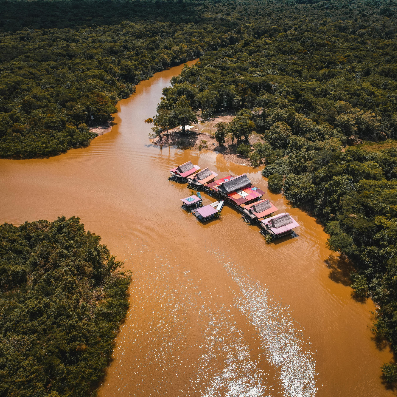 Full Day Río Amazonas y Visita a la Isla de los Monos
